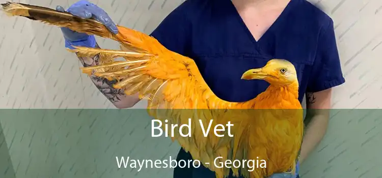 Bird Vet Waynesboro - Georgia