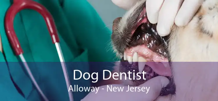 Dog Dentist Alloway - New Jersey