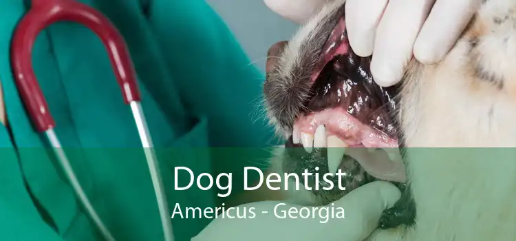 Dog Dentist Americus - Georgia