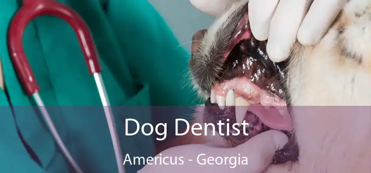 Dog Dentist Americus - Georgia