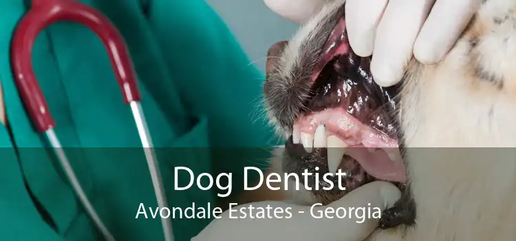 Dog Dentist Avondale Estates - Georgia