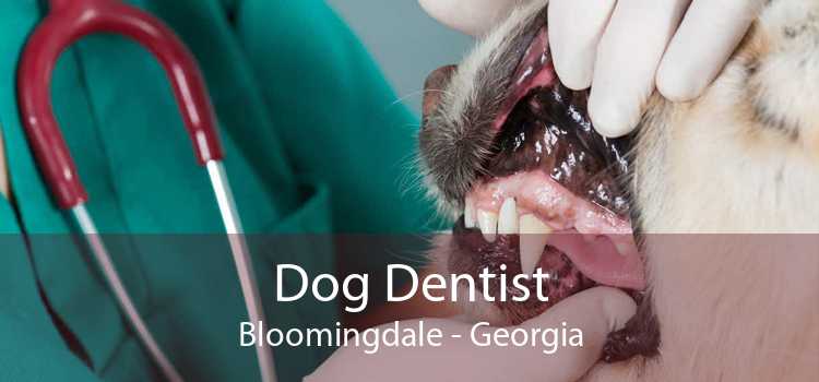 Dog Dentist Bloomingdale - Georgia
