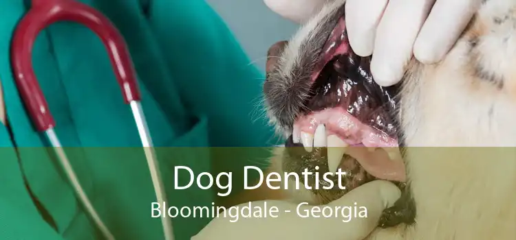 Dog Dentist Bloomingdale - Georgia