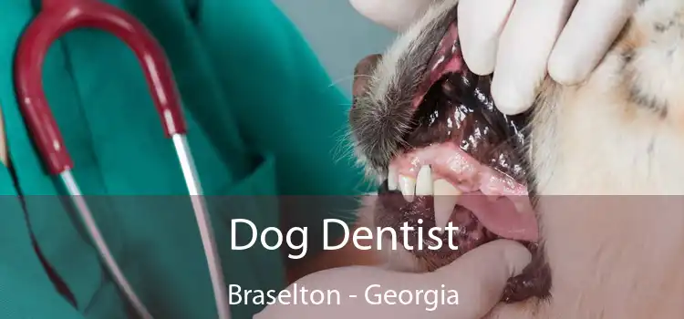 Dog Dentist Braselton - Georgia