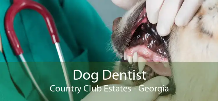 Dog Dentist Country Club Estates - Georgia