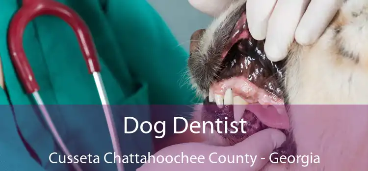Dog Dentist Cusseta Chattahoochee County - Georgia