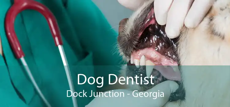 Dog Dentist Dock Junction - Georgia