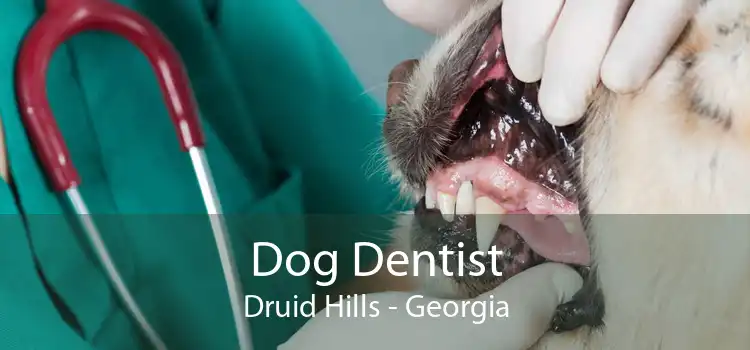 Dog Dentist Druid Hills - Georgia