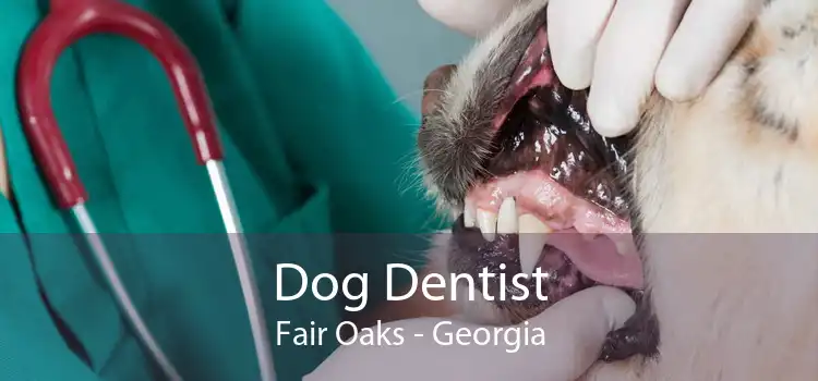 Dog Dentist Fair Oaks - Georgia