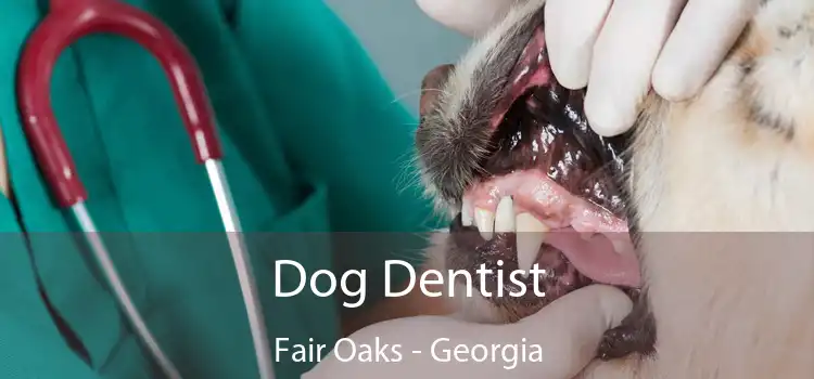 Dog Dentist Fair Oaks - Georgia