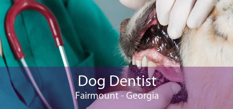 Dog Dentist Fairmount - Georgia