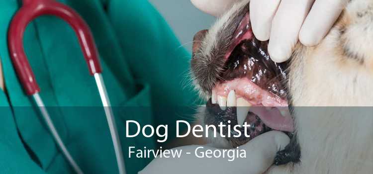 Dog Dentist Fairview - Georgia