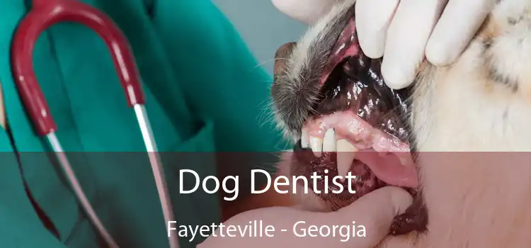 Dog Dentist Fayetteville - Georgia