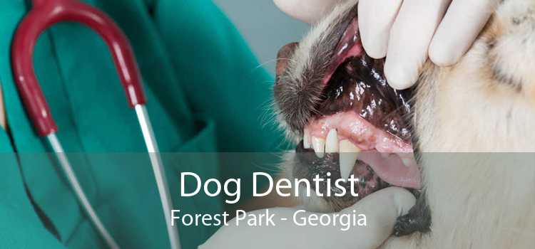 Dog Dentist Forest Park - Georgia