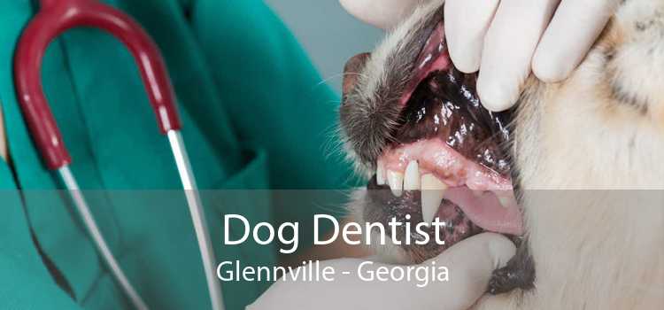 Dog Dentist Glennville - Georgia