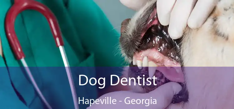 Dog Dentist Hapeville - Georgia