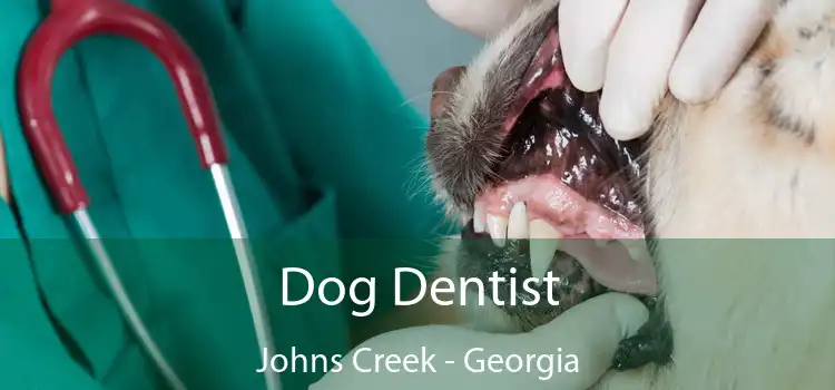 Dog Dentist Johns Creek - Georgia