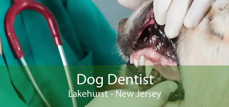 Dog Dentist Lakehurst - New Jersey