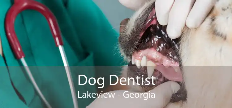 Dog Dentist Lakeview - Georgia