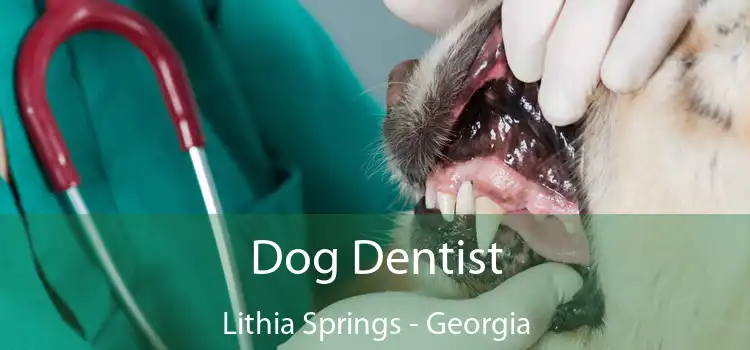 Dog Dentist Lithia Springs - Georgia