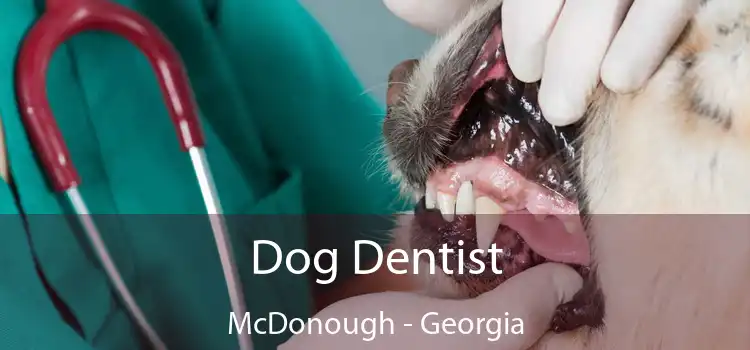 Dog Dentist McDonough - Georgia