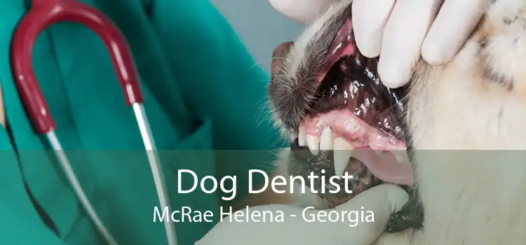 Dog Dentist McRae Helena - Georgia