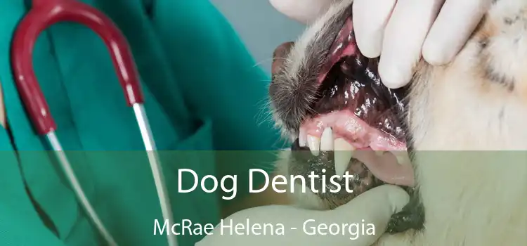 Dog Dentist McRae Helena - Georgia