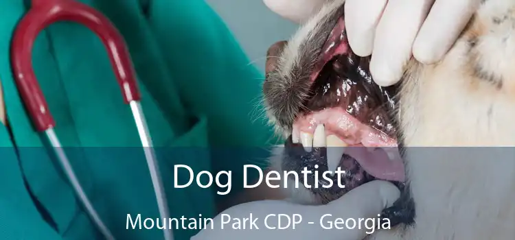 Dog Dentist Mountain Park CDP - Georgia