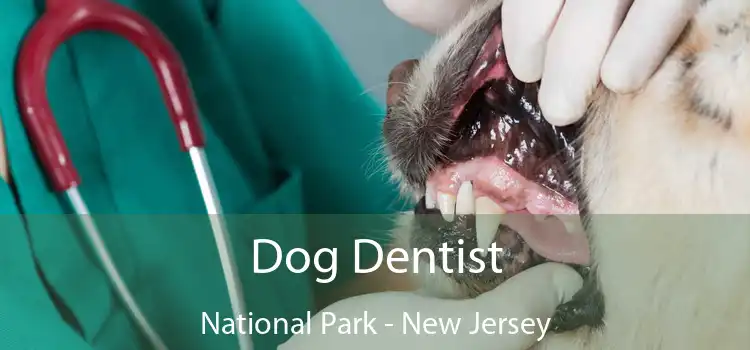 Dog Dentist National Park - New Jersey
