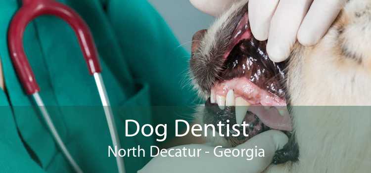 Dog Dentist North Decatur - Georgia