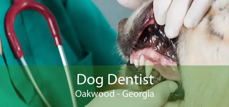 Dog Dentist Oakwood - Georgia