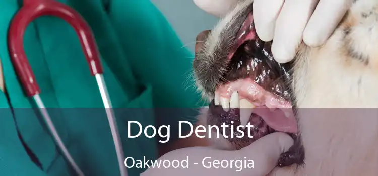 Dog Dentist Oakwood - Georgia