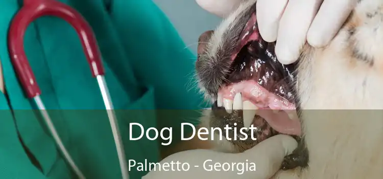 Dog Dentist Palmetto - Georgia