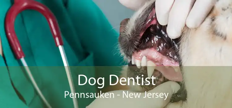 Dog Dentist Pennsauken - New Jersey