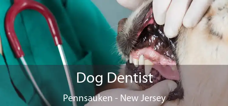 Dog Dentist Pennsauken - New Jersey