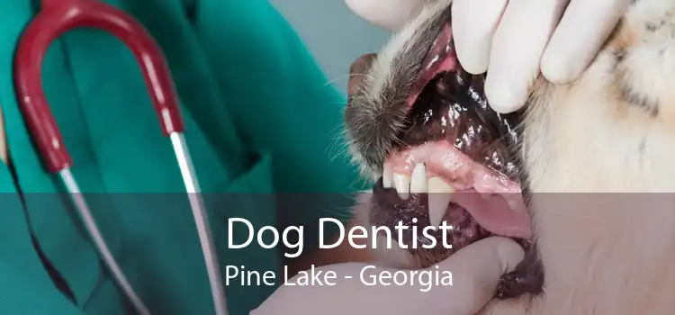 Dog Dentist Pine Lake - Georgia