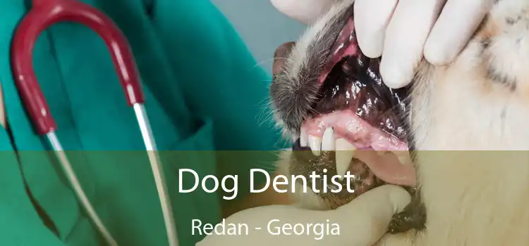 Dog Dentist Redan - Georgia