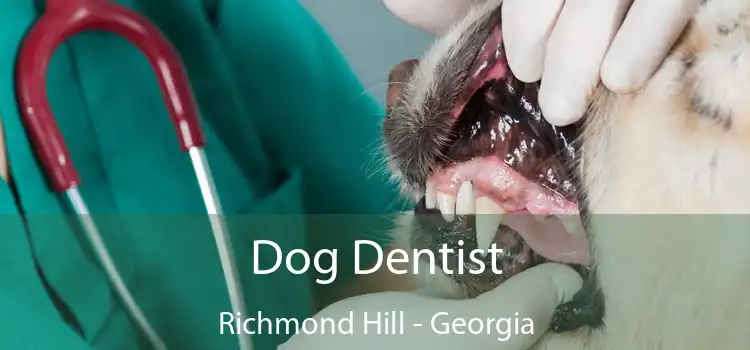 Dog Dentist Richmond Hill - Georgia