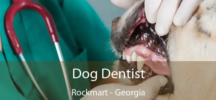 Dog Dentist Rockmart - Georgia