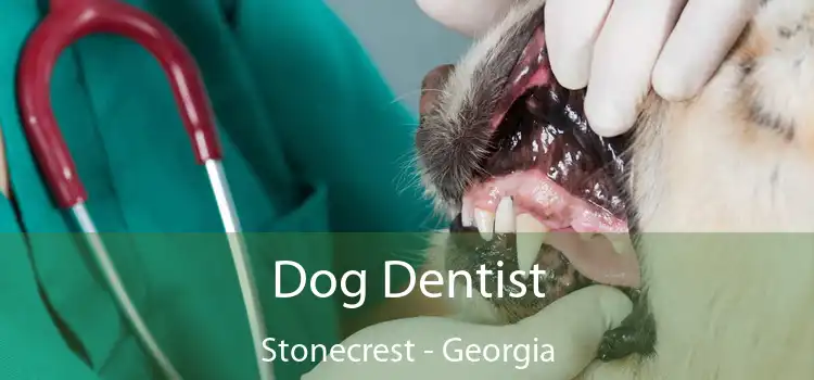 Dog Dentist Stonecrest - Georgia