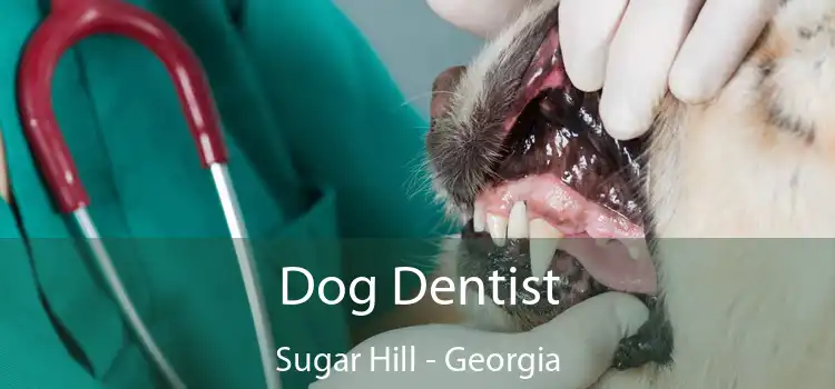 Dog Dentist Sugar Hill - Georgia