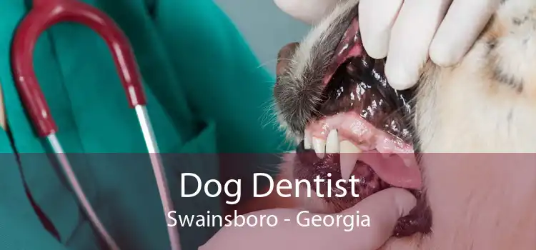 Dog Dentist Swainsboro - Georgia