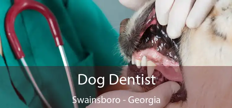 Dog Dentist Swainsboro - Georgia