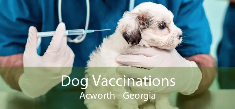 Dog Vaccinations Acworth - Georgia