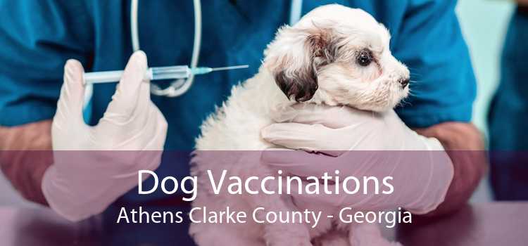 Dog Vaccinations Athens Clarke County - Georgia