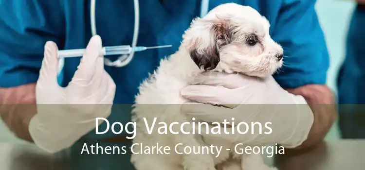 Dog Vaccinations Athens Clarke County - Georgia