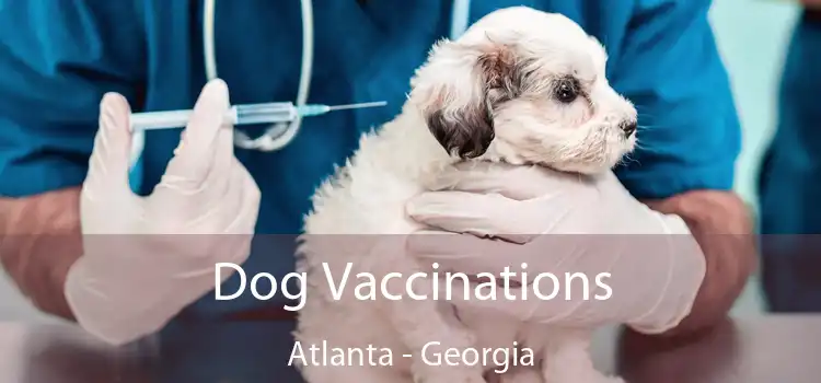 Dog Vaccinations Atlanta - Georgia