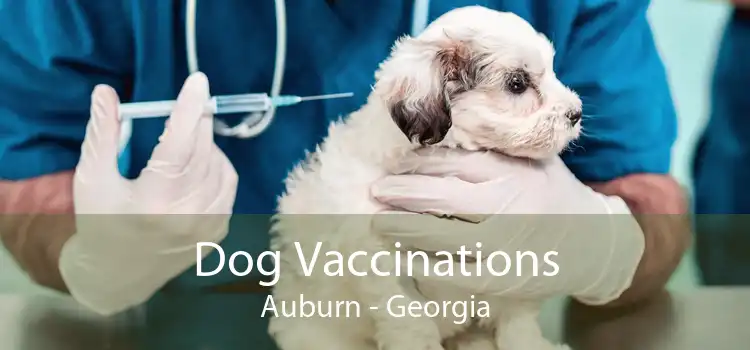 Dog Vaccinations Auburn - Georgia