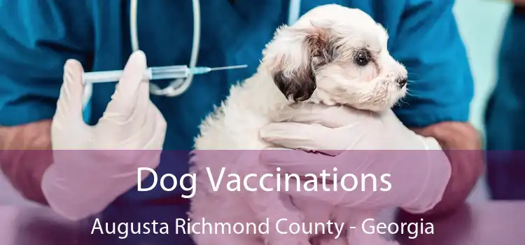 Dog Vaccinations Augusta Richmond County - Georgia