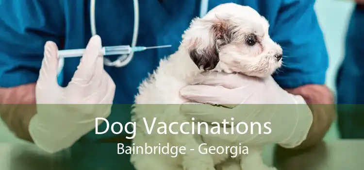 Dog Vaccinations Bainbridge - Georgia